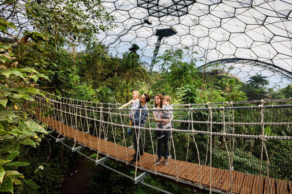 Canopy walkway in the Rainforest Biome at the Eden Project near St Austell in Cornwall