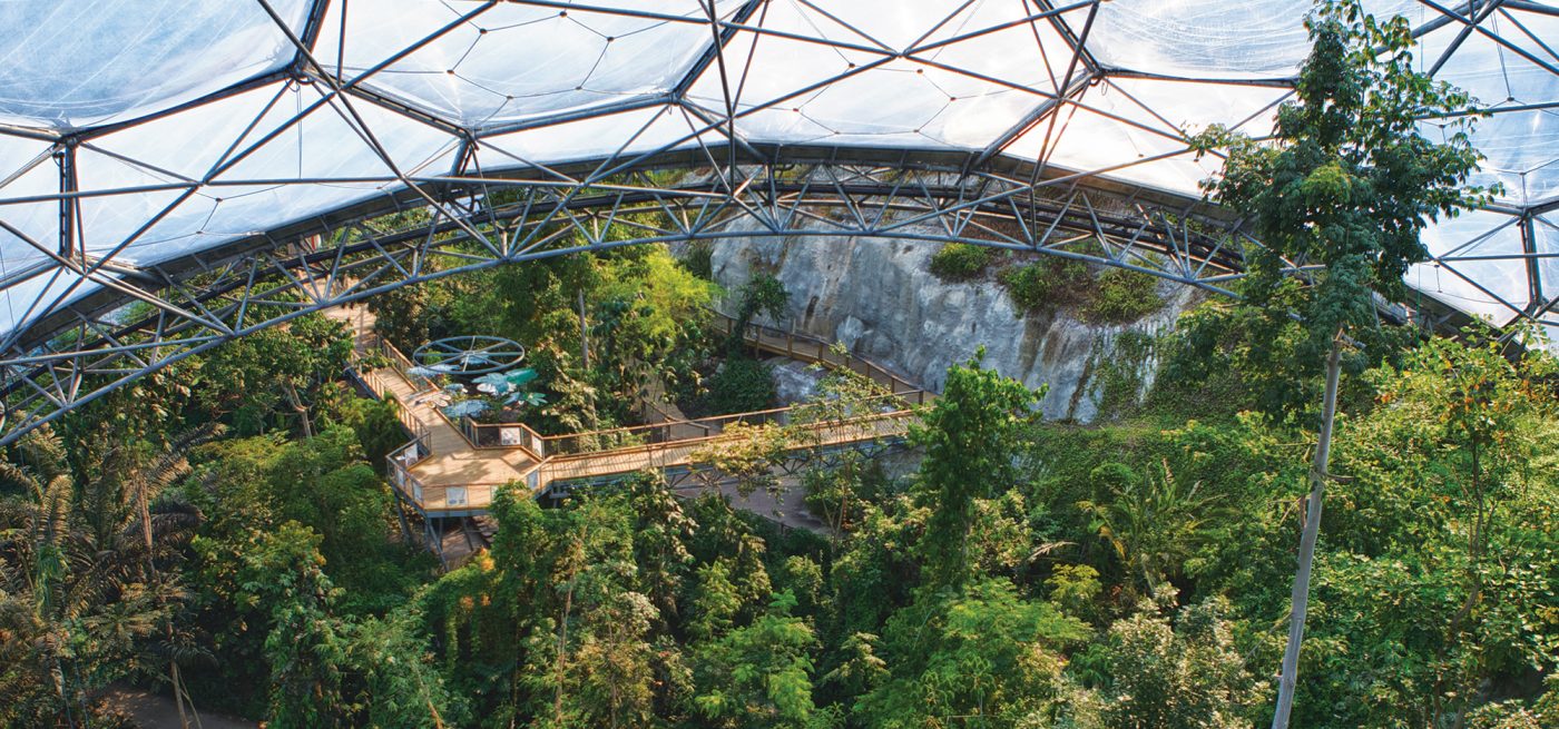 Canopy Walkway Rainforest Biome Eden Project St Austell Cornwall