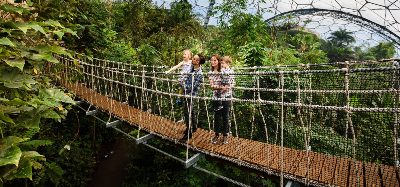 Canopy Walkway Phase 2 Rainforest Biome Eden Project St Austell Cornwall