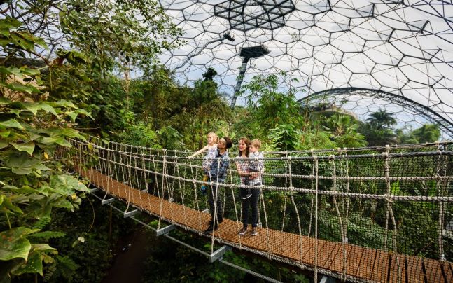 Canopy Walkway Phase 2 Rainforest Biome Eden Project St Austell Cornwall