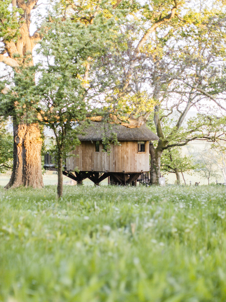 Deer Park Country House Honiton Devon - Wedding treehouse accommodation